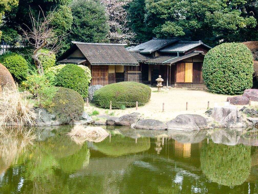 Garden at the National Museum. Photo: Daniel