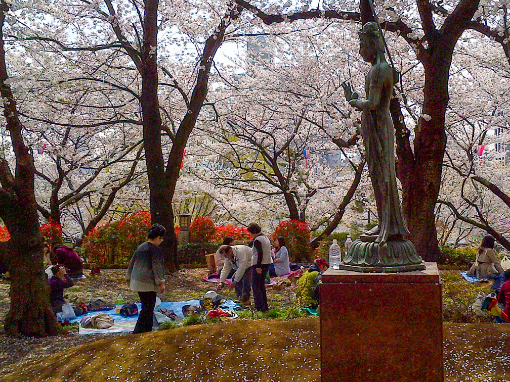 Sakura picnic in Asukayama park along the line. Photo: Ingrid