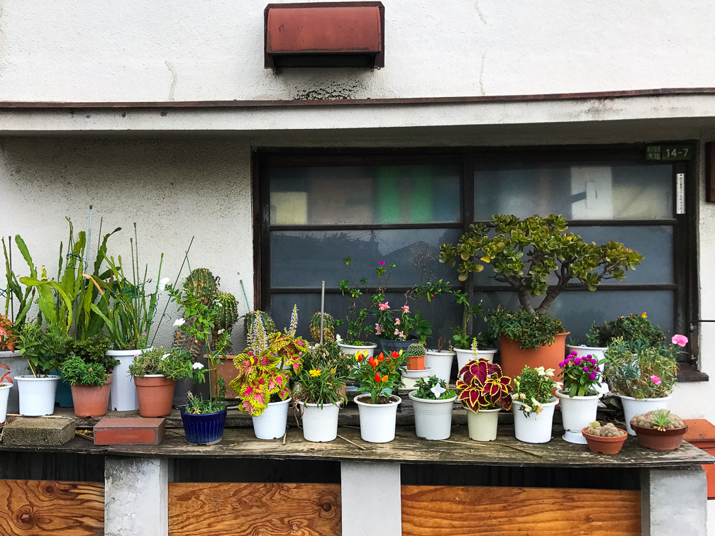 Streelife around Yanaka. Photo: Ingrid