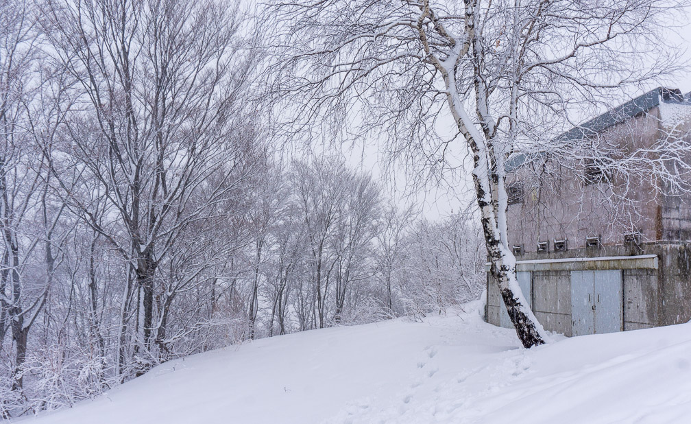 Snow Country. Photo: Daniel