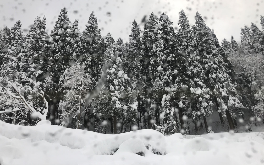 Passing through the snow. Photo: Ingrid