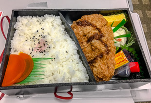 Bento on the train. Photo: Ingrid